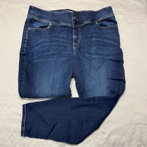 Lane Bryant Dark Blue Skinny Jeans Size 20